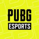 pubgesports profile picture