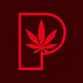 Puffthapiff's Kick streamer profile picture