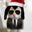 q3l4yn4q profile picture