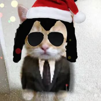 q3l4yn4q's Kick streamer profile picture