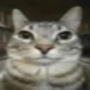 quillysilly profile picture