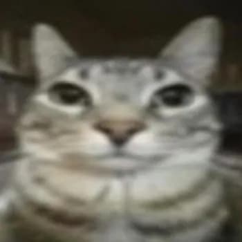 quillysilly's Kick streamer profile picture