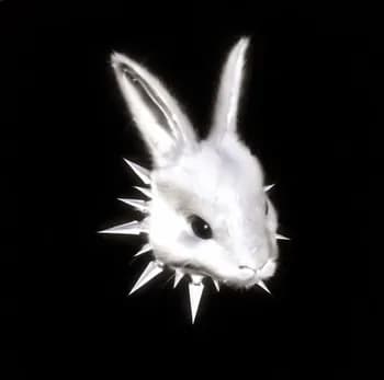 Rakuexe27's Kick streamer profile picture