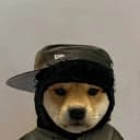 Rep100x profile picture