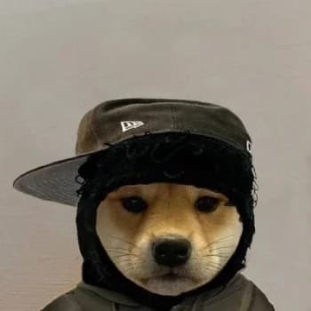 Rep100x's Kick streamer profile picture