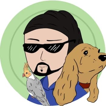 RevidaL's Kick streamer profile picture