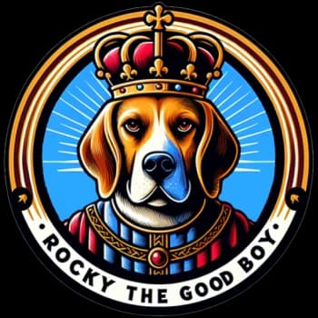 RockytheGoodBoy's Kick streamer profile picture