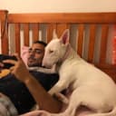 Rowwland profile picture