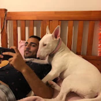 Rowwland's Kick streamer profile picture