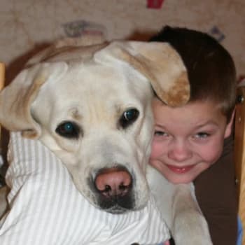 rupucis's Kick streamer profile picture