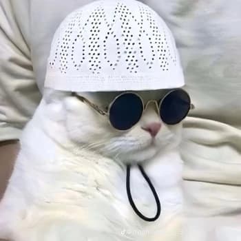 S2GKAJAxD's Kick streamer profile picture