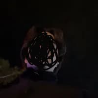 SAMER_99k's Kick streamer profile picture