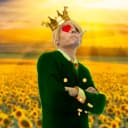 SangoroVinsmoke profile picture