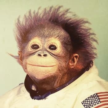 Scuffed's Kick streamer profile picture