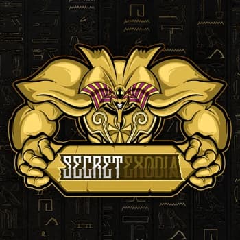 SecretExodia's Kick streamer profile picture