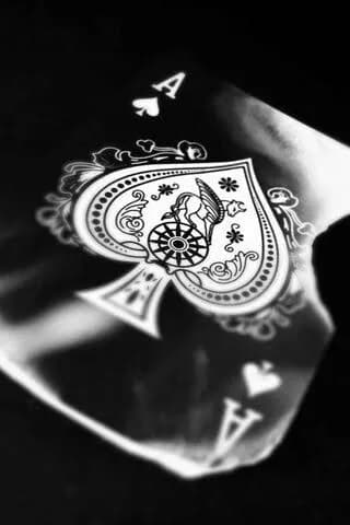 Server_Ru_Stream's Kick streamer profile picture