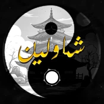 shaoline's Kick streamer profile picture