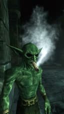 sheltonwaud profile picture