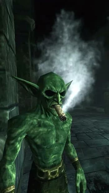 sheltonwaud's Kick streamer profile picture