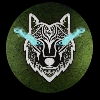 SilverWolf_27's Kick streamer profile picture