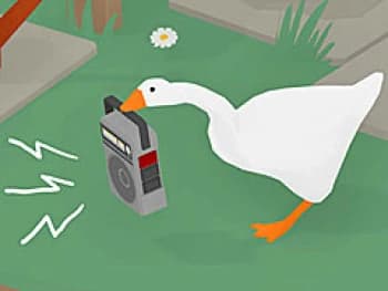 sinntamada's Kick streamer profile picture