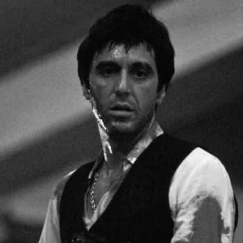 Sinoplymessi's Kick streamer profile picture