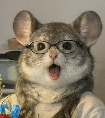 Siratopia's Kick streamer profile picture