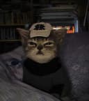 slimeoz profile picture