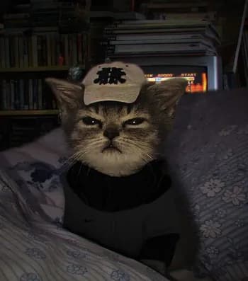 slimeoz's Kick streamer profile picture