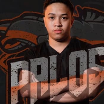 solapsapdota's Kick streamer profile picture
