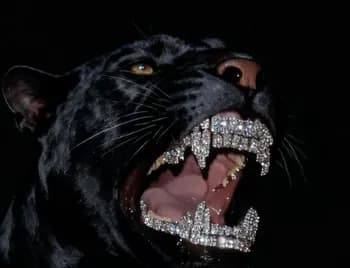 SourzGambles's Kick streamer profile picture