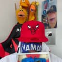 soypolloff profile picture