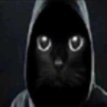 stasrefund's Kick streamer profile picture