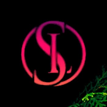 StrikeLee's Kick streamer profile picture