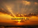 sunset81_tv profile picture