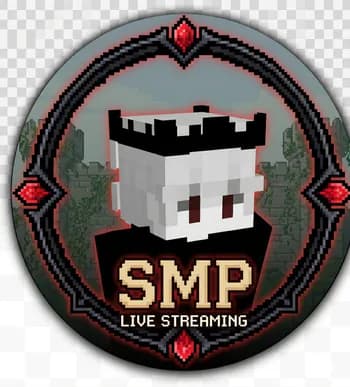 Swasa1's Kick streamer profile picture