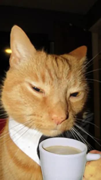 Sweezy's Kick streamer profile picture