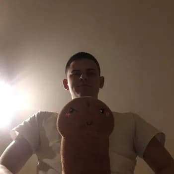 Szponciciel04's Kick streamer profile picture