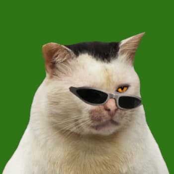 tarhun_mz's Kick streamer profile picture