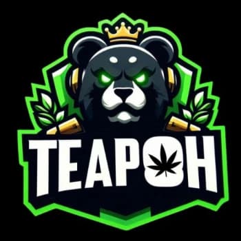 Teapoh's Kick streamer profile picture