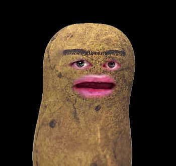 The_Alfredukas's Kick streamer profile picture