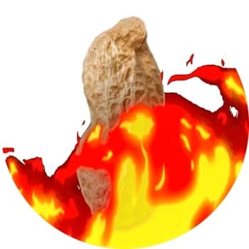 TheBurntPeanut's Kick streamer profile picture
