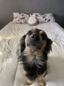 timehaxball44 profile picture