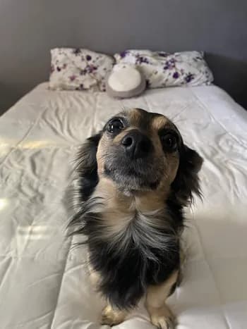 timehaxball44's Kick streamer profile picture