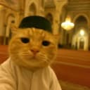 TLLAS profile picture