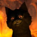 Tobecito profile picture