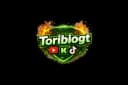 Toribiogt profile picture