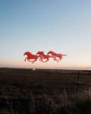 TrackTres profile picture