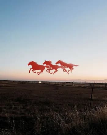 TrackTres's Kick streamer profile picture