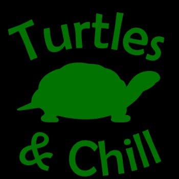 TurtlesAndChill's Kick streamer profile picture